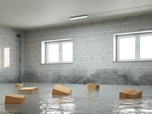 Understanding Moisture in Basements