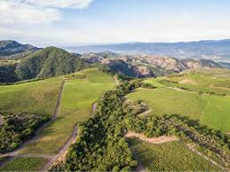 Stagecoach Vineyard