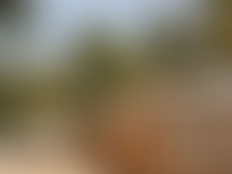 Early Bird Discount π΄