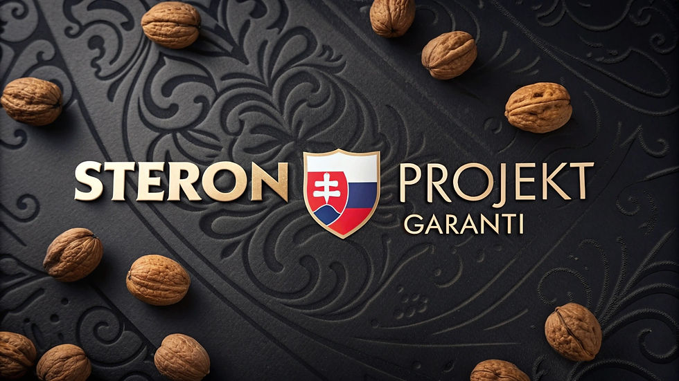 -steron-projekt---garanti--sprav-grafick--prezent-(1).jpg