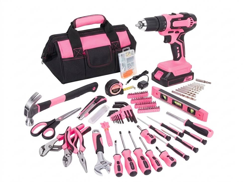 20V Drill Driver