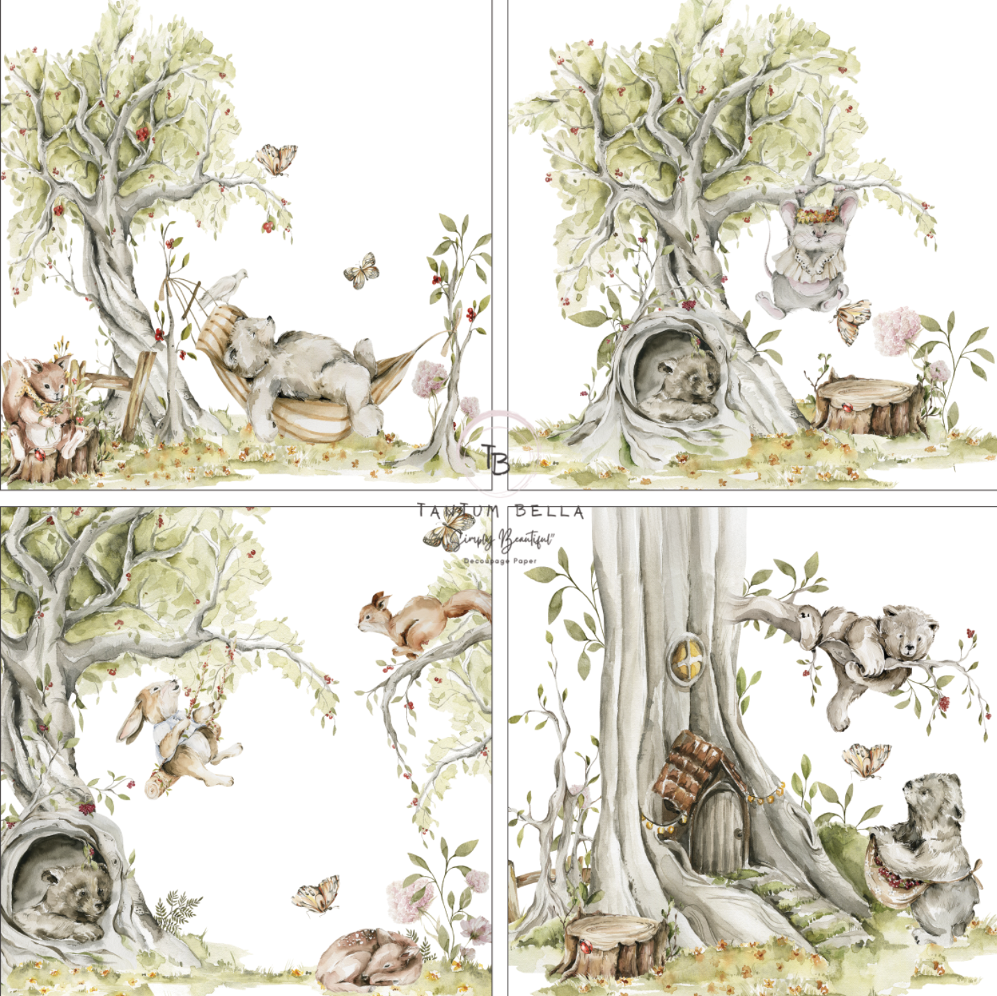 TBKi-0081 (Playful Timberland)