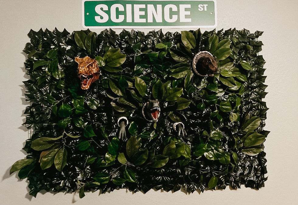 Green wall with Dinosaur heads