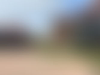 Modern two-story brick and black timber-clad house with large glass windows, red tiled roof, detached double garage, and landscaped driveway with fresh lawn and plants under a partly cloudy sky