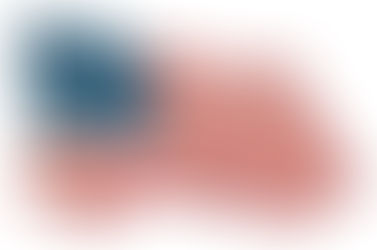 Weekly Report June 26, 2024 By Susan Ruch