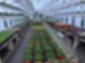 IMG_0909.jpeg
