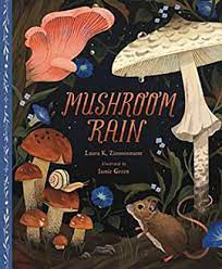 Cover image of Mushroom Rain