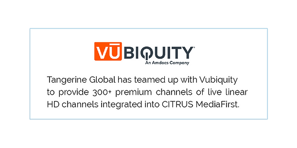 Vubiquity Graphic.png