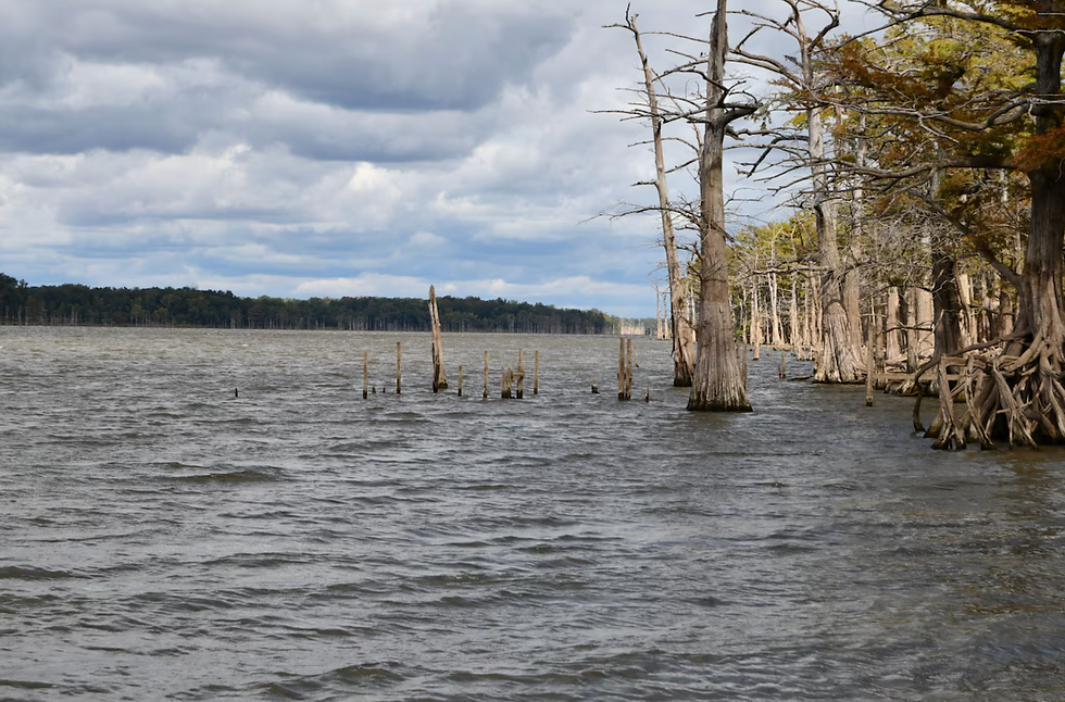 Lake Mary, an oxbow of the Mississippi River. 13-miles long.
