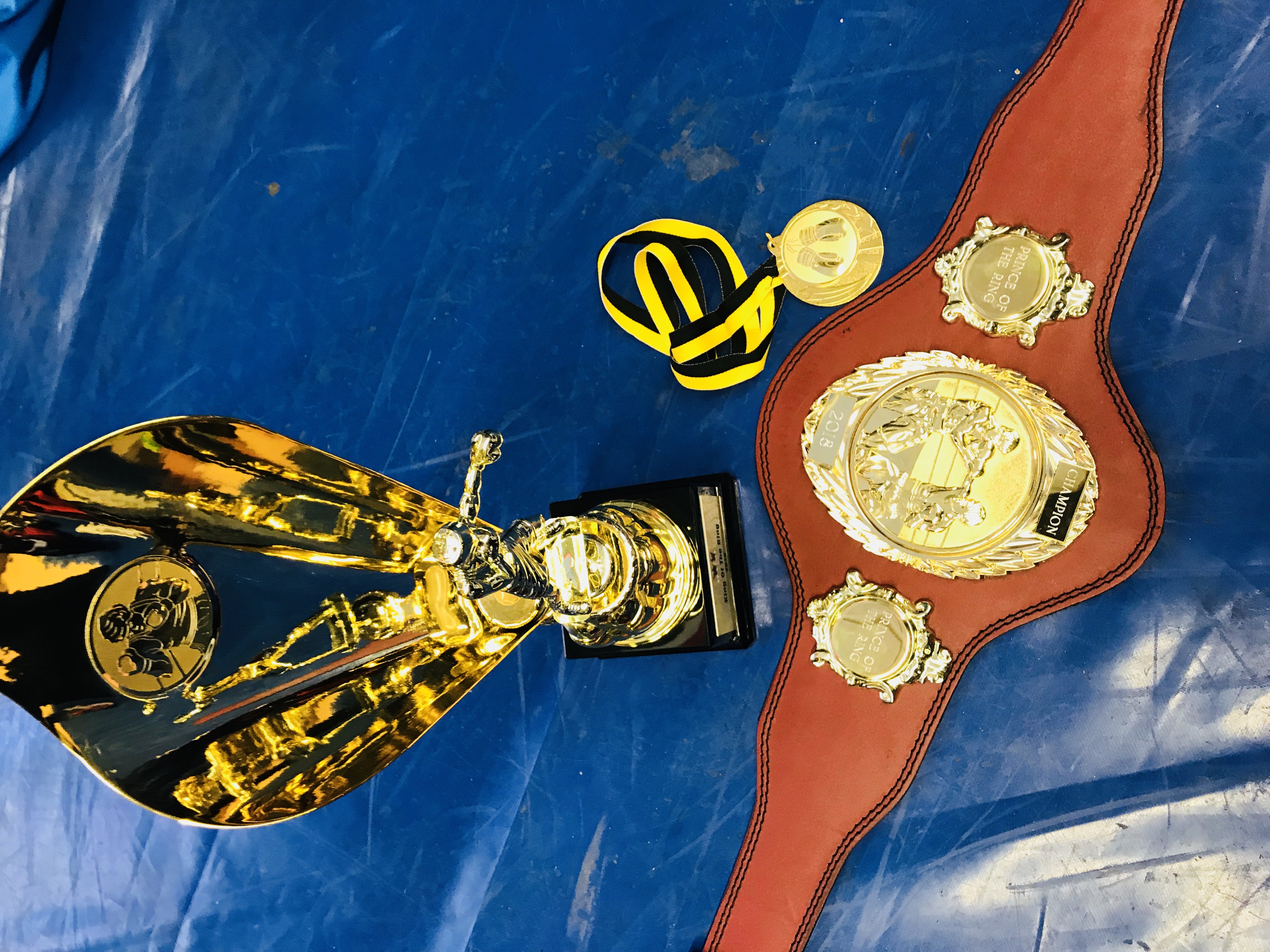 Prince of the ring