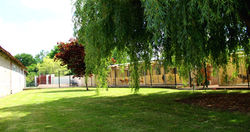 Pension Canine 1080 2