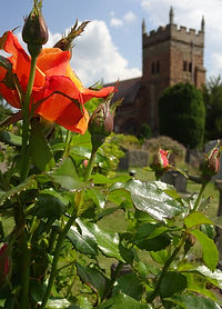 DSC02246.JPG