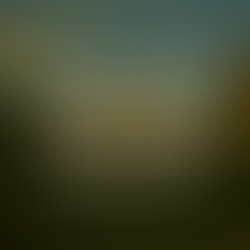 Divine Proofs – God’s Stamp on Scripture