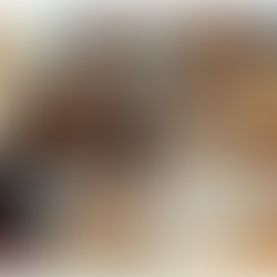 October 11 – Desiderius Erasmus: The Reluctant Reformer