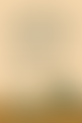 Day 3: Doctrine Protects the Gospel