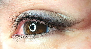 phibrows microblading london training course online in person live training microneedling phibright phiion plasma pen phicontour lip tatoo eyeliner tattoo phiacademy master brows eyebrows skin care tightening skin tag removal milia capillaris boldbrows perfection best artist philings permanent makeup pmu teacher mentor vtct 5 star raiting reviews