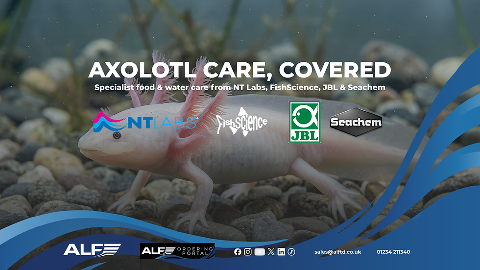 Dedicated Food & Water Care Products for Axolotl Keepers