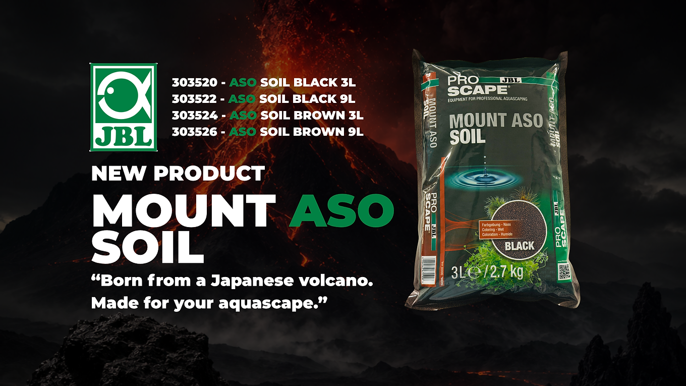 JBL ASO WEBSITE POSTER.png