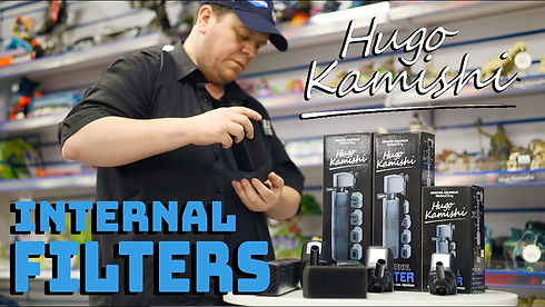 Hugo Kamishi Internal Filters