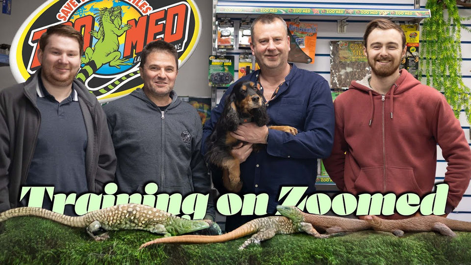 Zoo Med training day at ALF on the ALF YouTube Channel