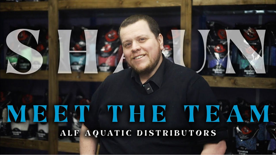 Meet the ALF team on the ALF YouTube Channel
