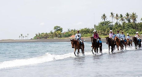 Horse Riding