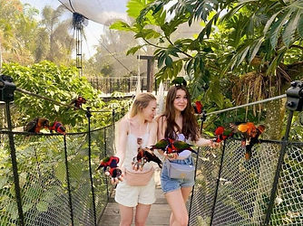 Monkey Forest & Bali Bird Park Gaia Bali Tour