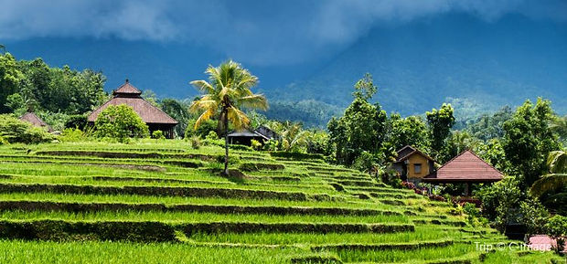 Gaia Bali