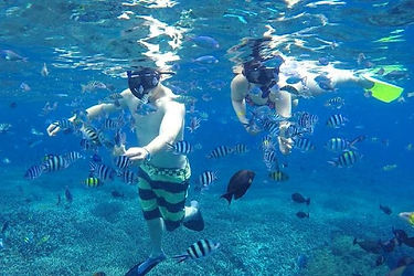 Nusa Lembongan Gaia Bali Tour
