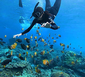 Nusa Lembongan Gaia Bali Tour