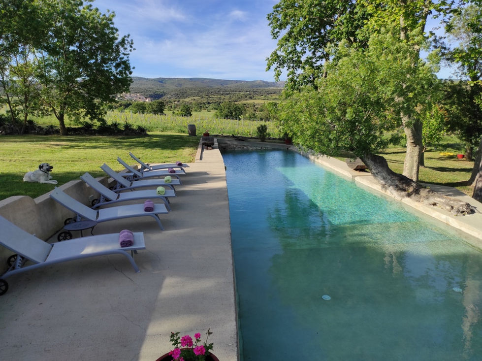 piscine-2.jpg