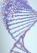 DNA