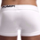 Miniatura: BOXER