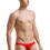 Miniatura: SLIP