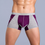 Miniatura: BOXER