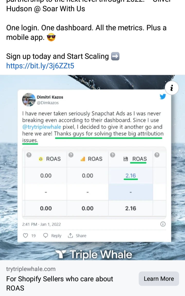 Triple Whale