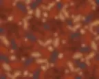 Thumbnail: Christmas Branches in Three Colours — 100% Cotton (OEKO-TEX)