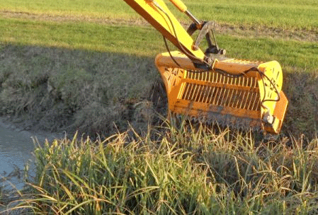 Reed-bucket.gif