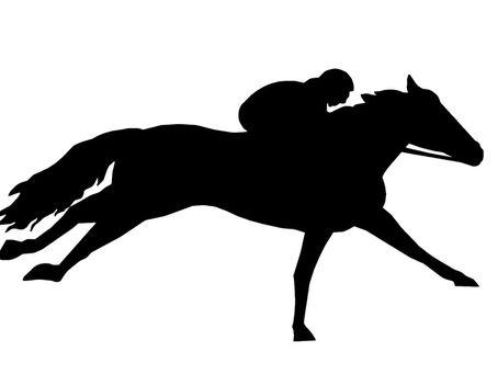 Stereotypes and Thoroughbred Horses (especially OTTB)