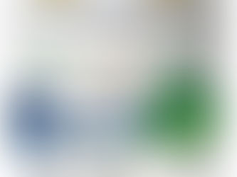 Equinety Horse XL Supplement