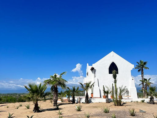 IbogaSoul Welcomes You To Todos Santos, Mexico
