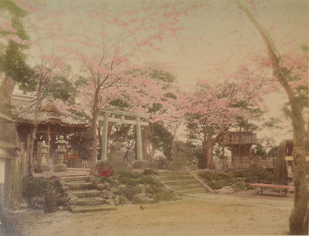 imagining2-Cherry-Blossoms-by-Shrine-1890-1910-albumen-print-Ronin-Gallery..jpg