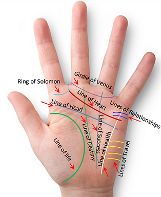 palmistry.png