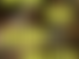 Is Art Always Political?