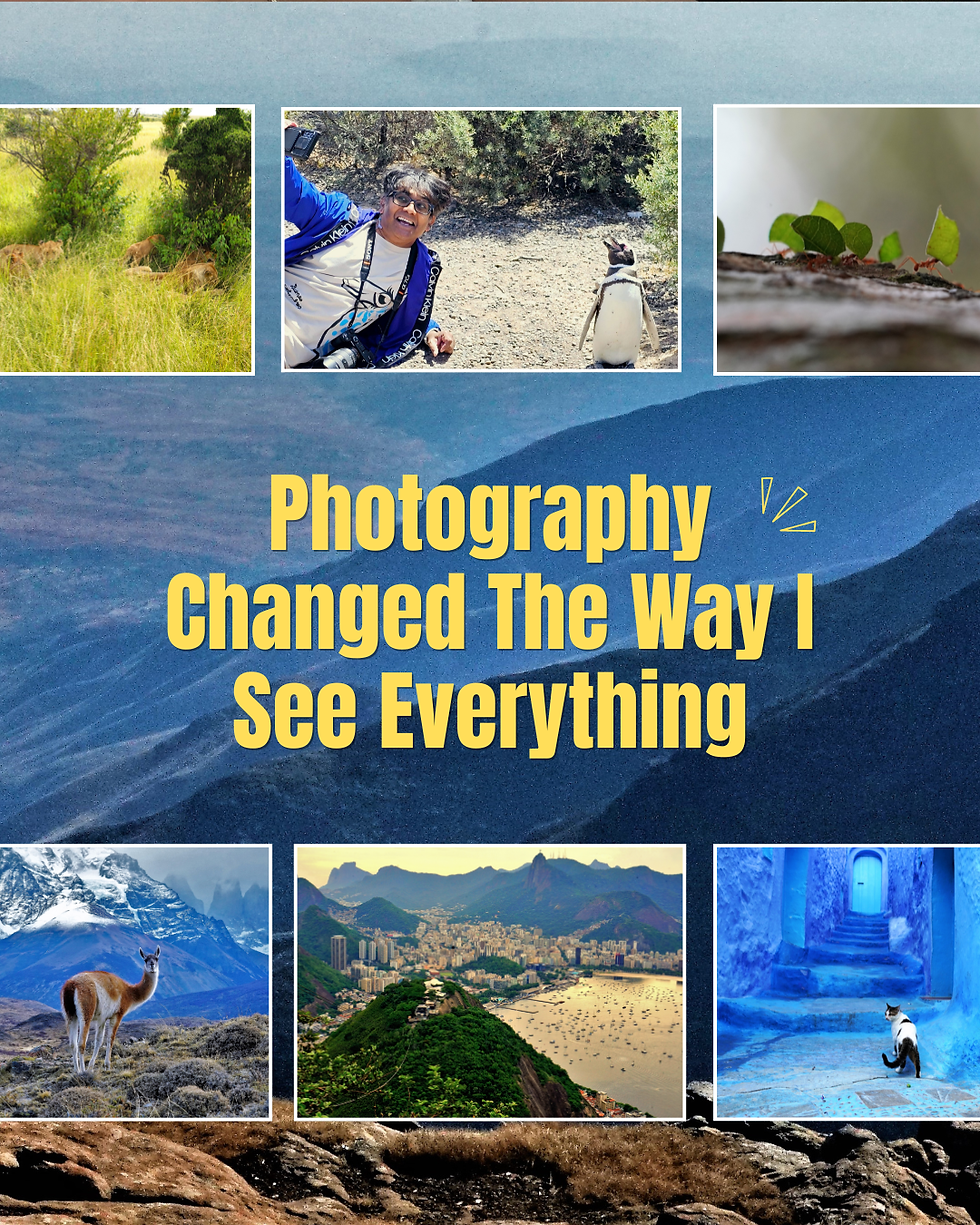 Photography changed the way I see everything
