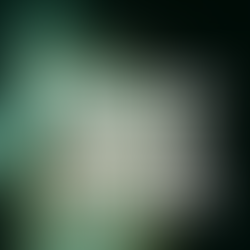 Struggles of New Artists