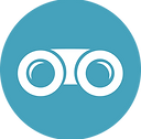 DOMIS-icon-visionary-blue.png