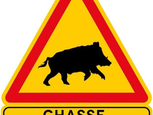 Ouverture de la chasse