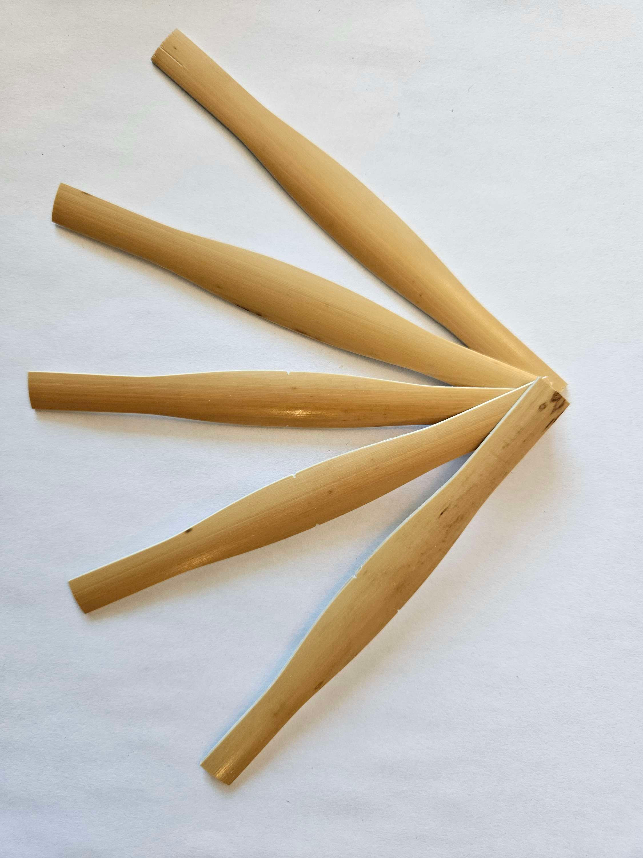 Gouged/Shaped Bassoon Cane