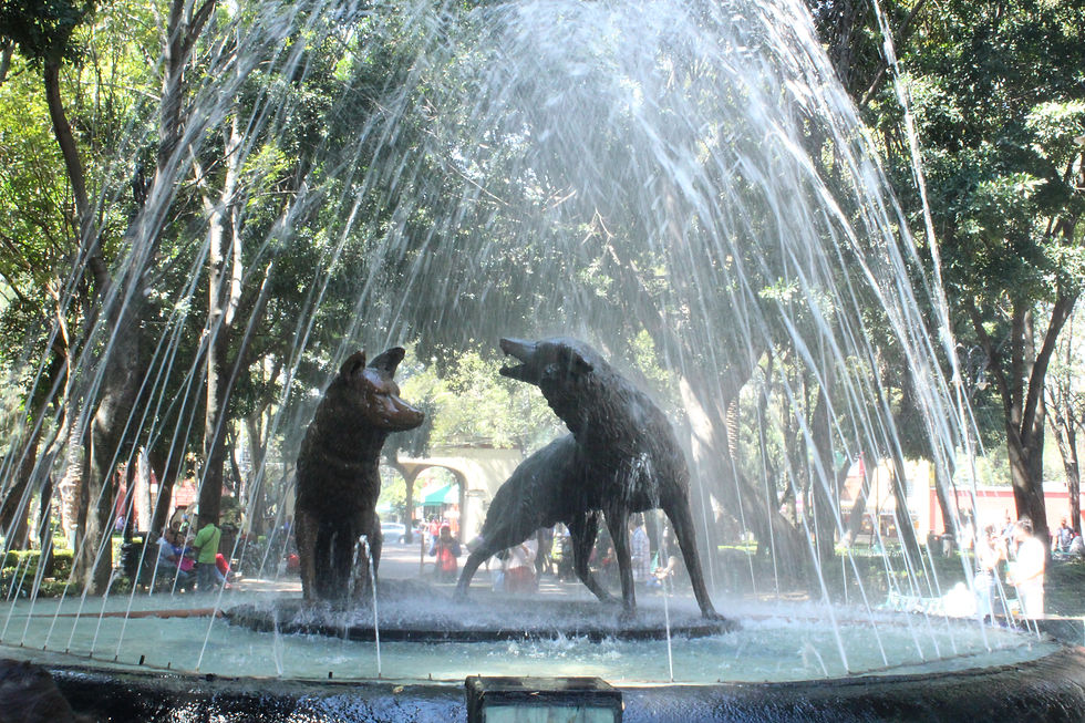 Fuente de los coyotes